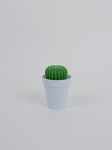 600604-cactus-dishbrush