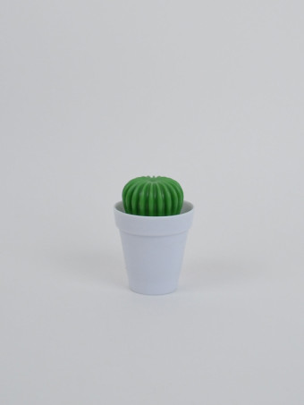 600604-cactus-dishbrush